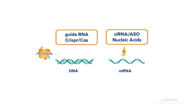 How Do siRNA Therapies Silence Genes?