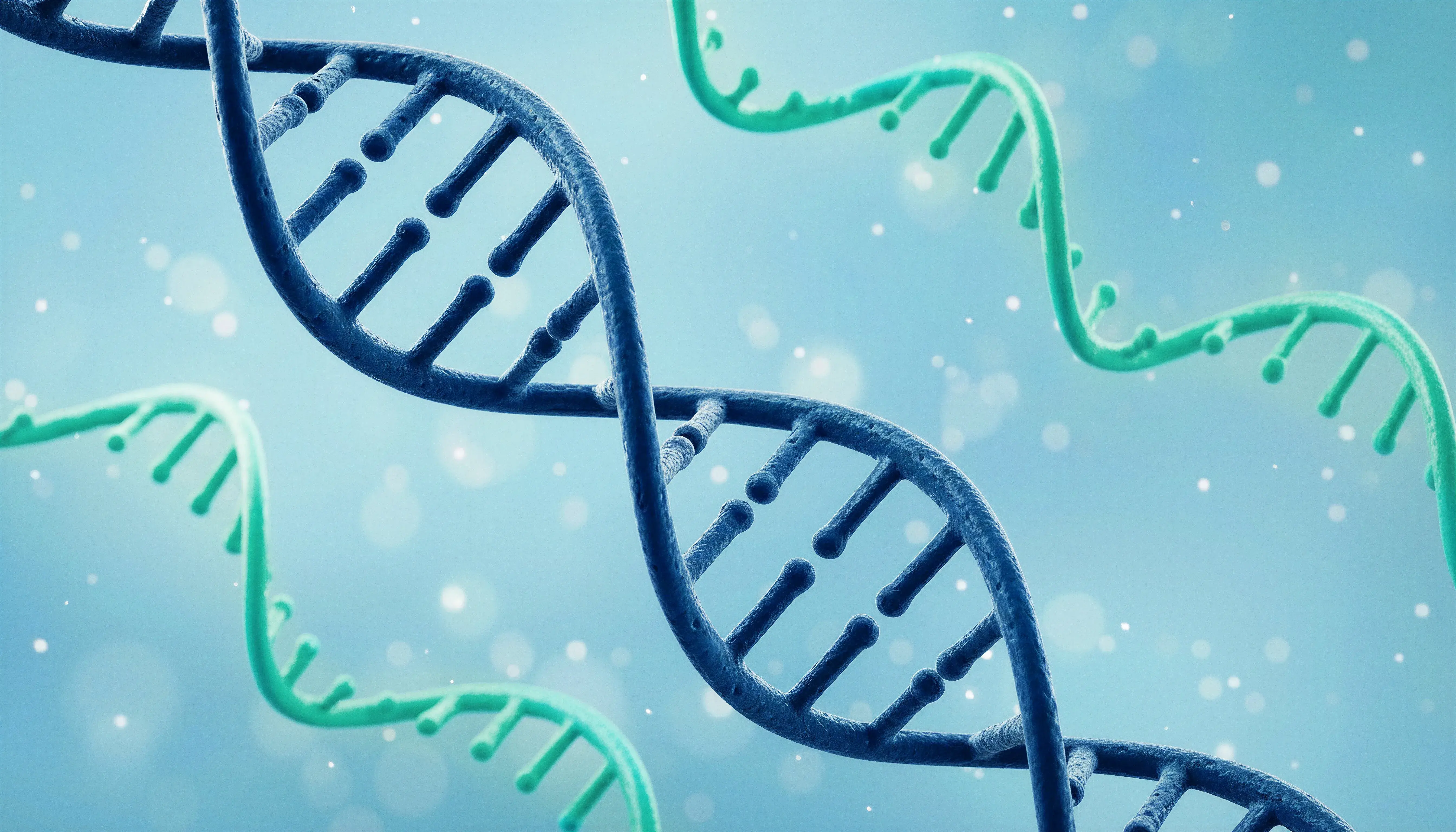 DNA + RNA