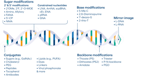 Oligonucleotides Modifications_01.26
