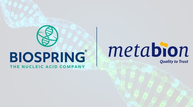 From Discovery to Commercial Supply: Accelerating the Development of Therapeutic Oligonucleotide Drugs