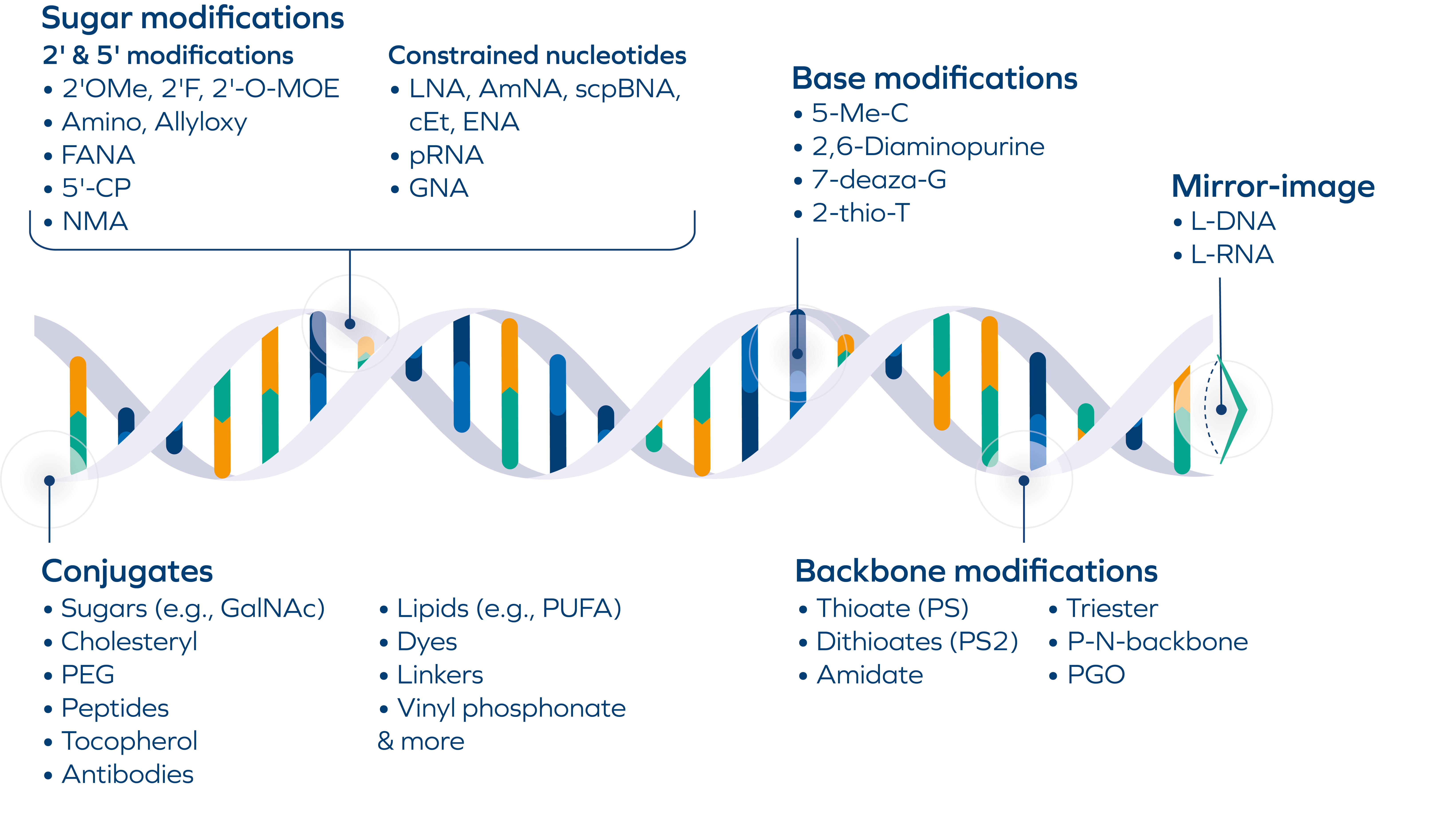 Oligonucleotides Modifications_01.26