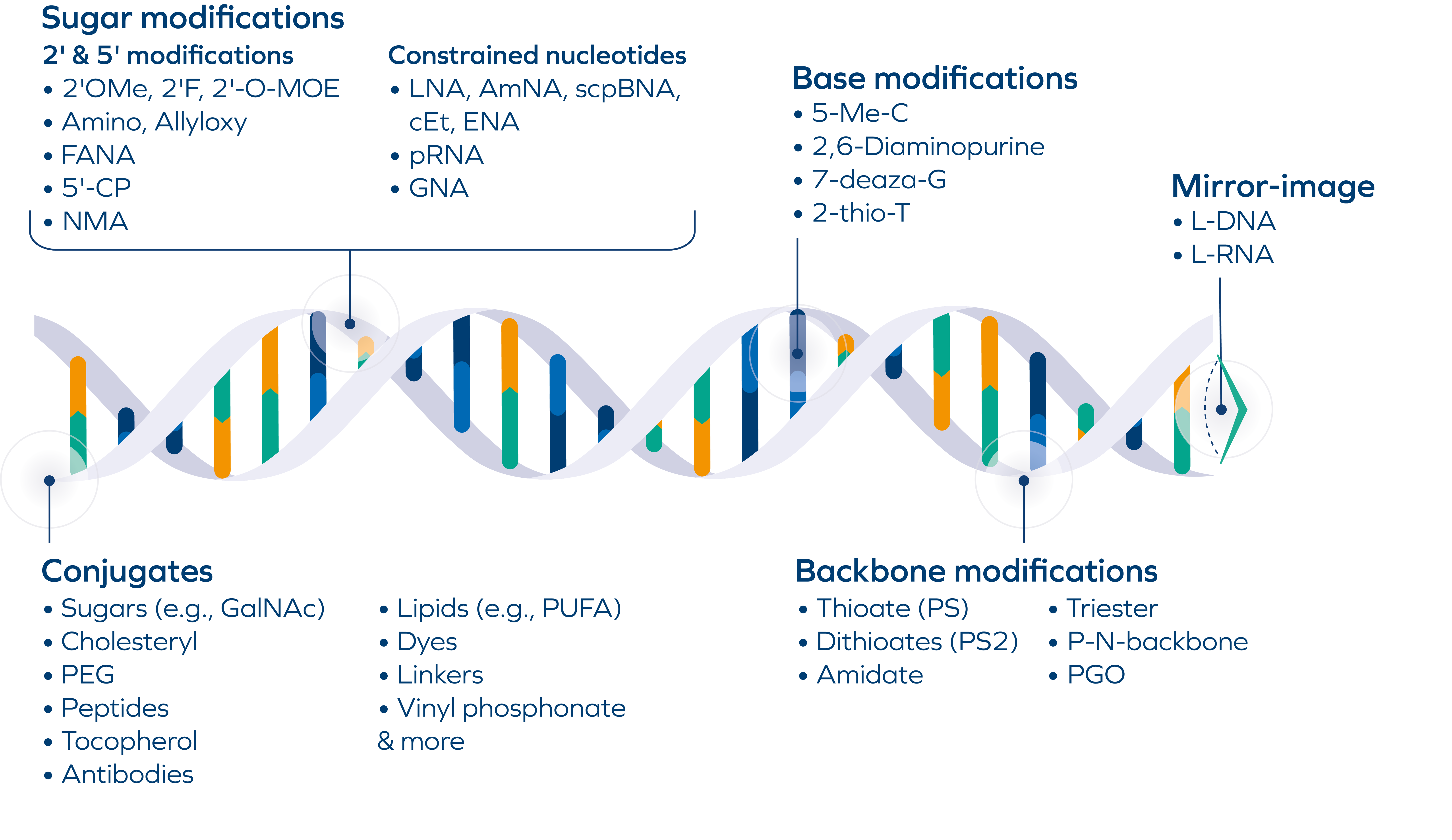 Oligonucleotides Modifications_01.26