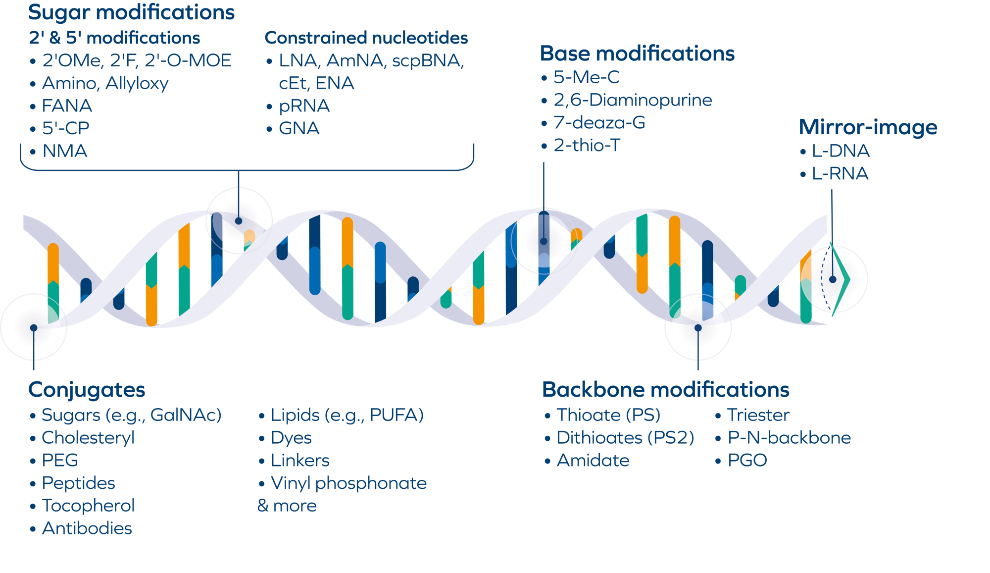 Oligonucleotides Modifications_01.26 Oligonucleotides Modifications_01.26