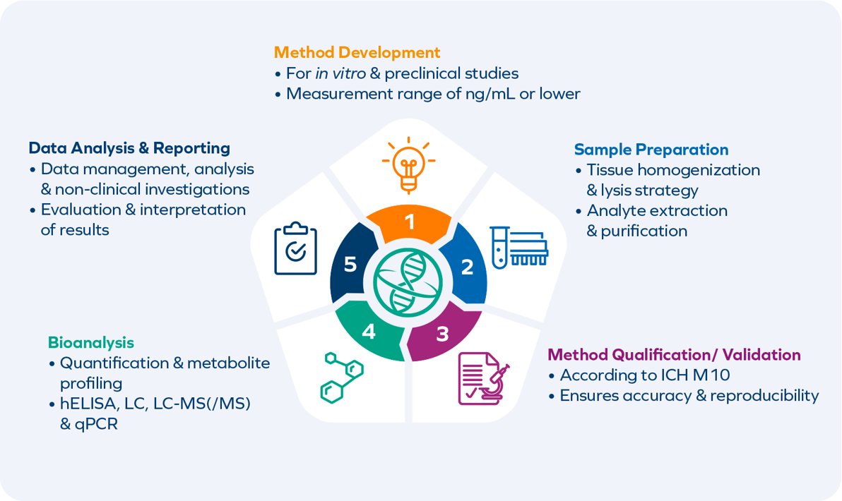 Illustration_Bioanalytical workflow