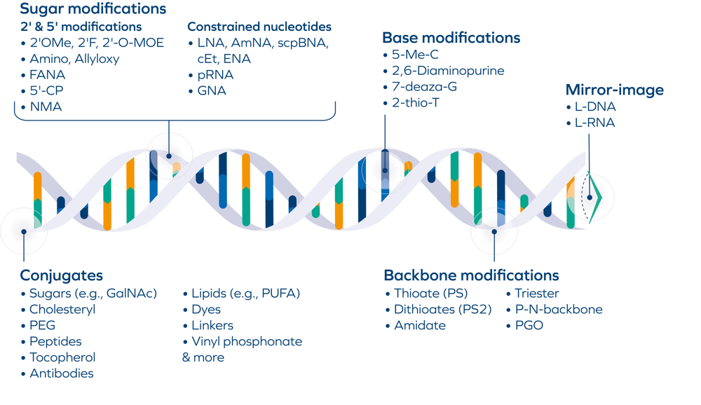 Oligonucleotides Modifications_01.26
