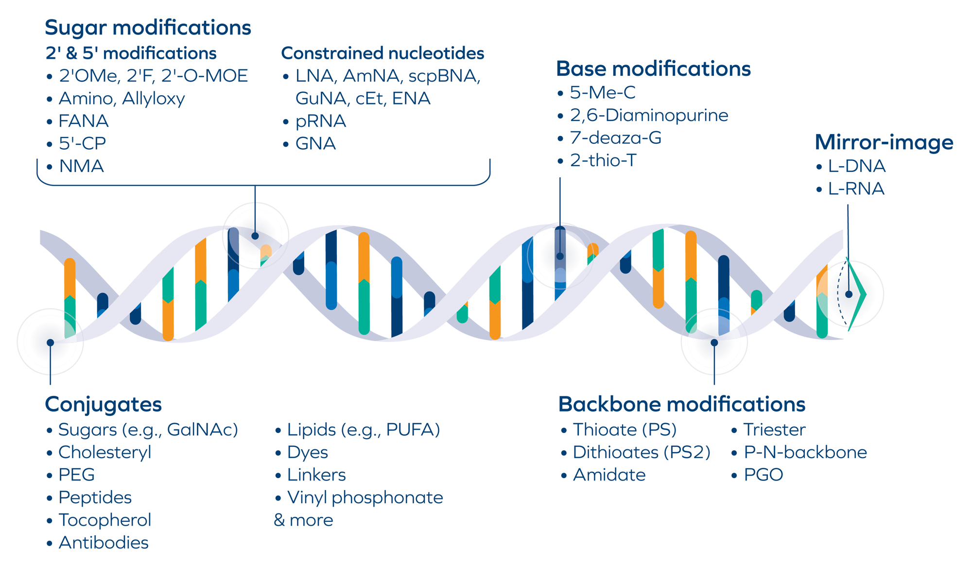 Oligonucleotides-Modifications_06.08 Oligonucleotides-Modifications_06.08