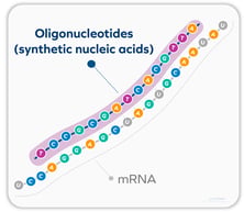 Oligos-1