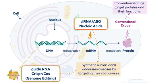 OligosModernMedicine
