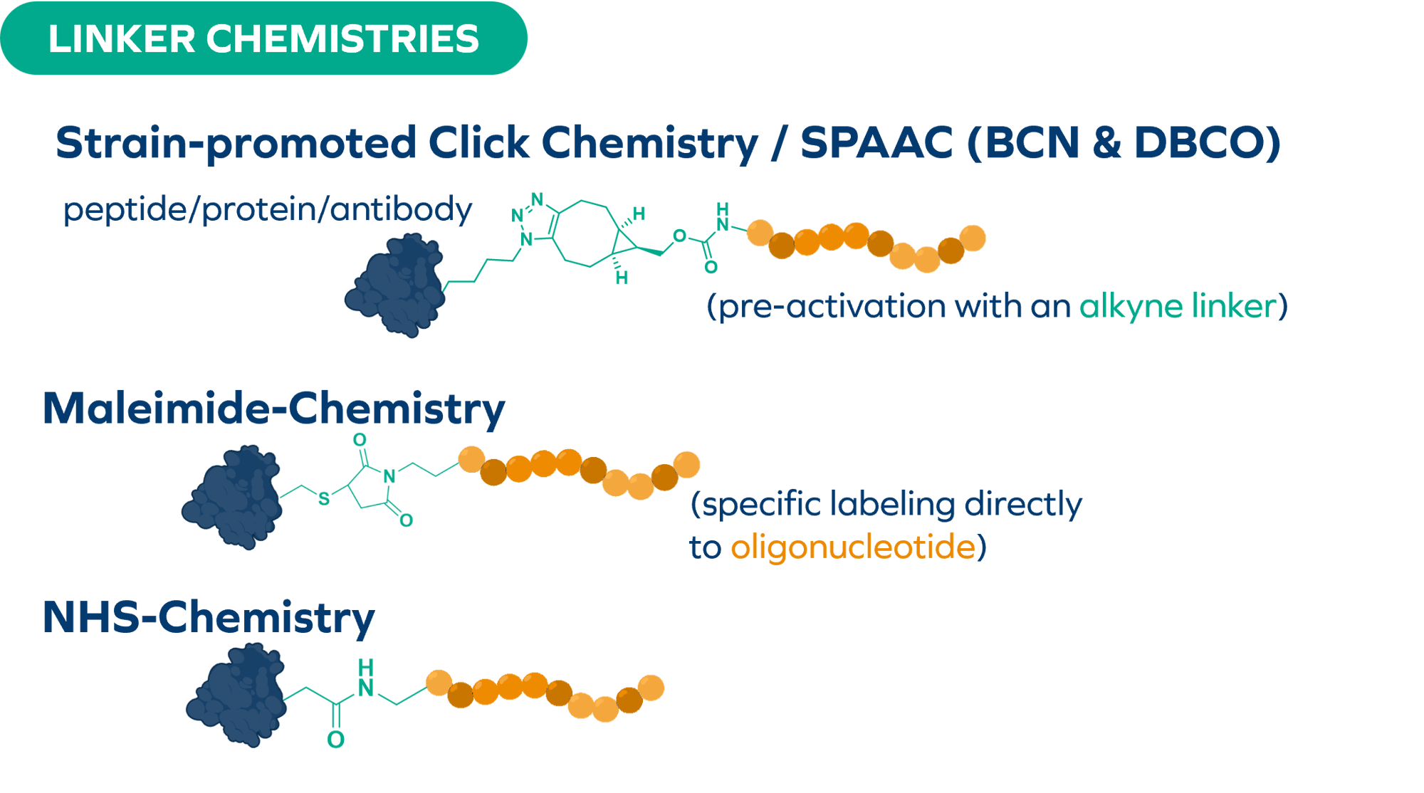 linker chem-1 linker chem-1