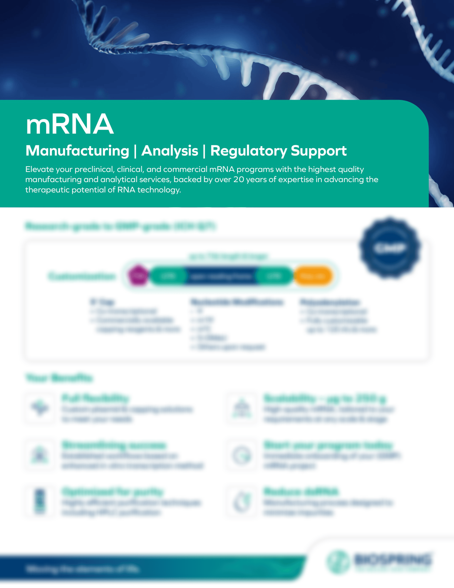 mRNA flyer_blur