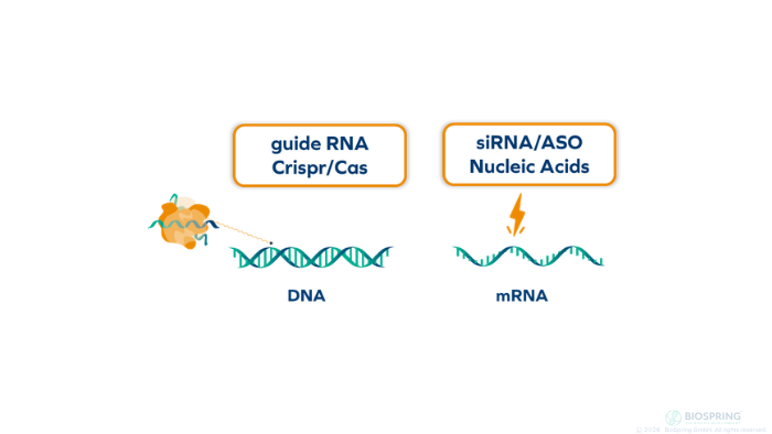 Why Oligonucleotides Matter More Than Ever in Modern Biotech