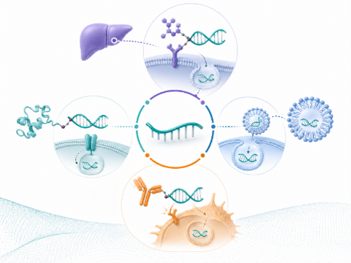 Next-Generation Delivery Systems for Nucleic Acid Therapeutics