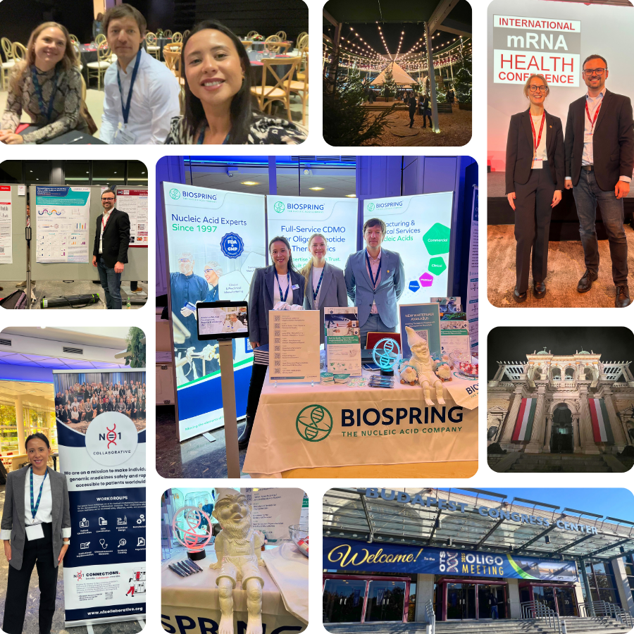 Newsletter photo collage